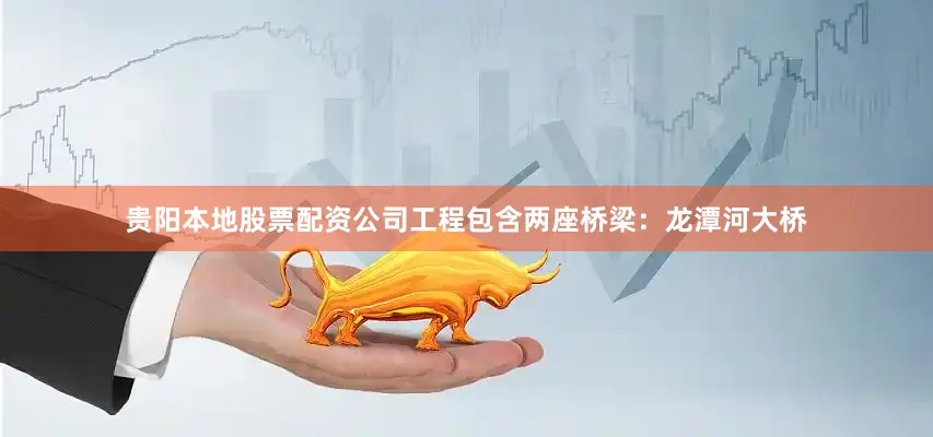 贵阳本地股票配资公司工程包含两座桥梁：龙潭河大桥