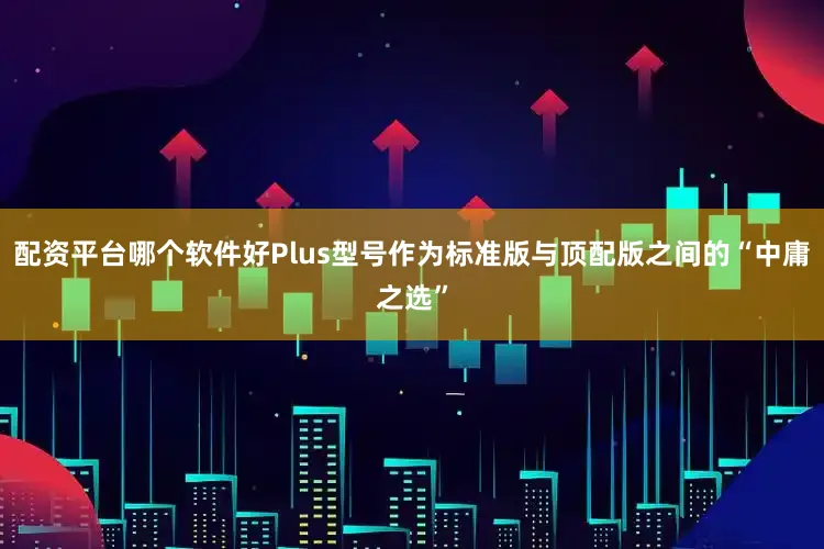 配资平台哪个软件好Plus型号作为标准版与顶配版之间的“中庸之选”