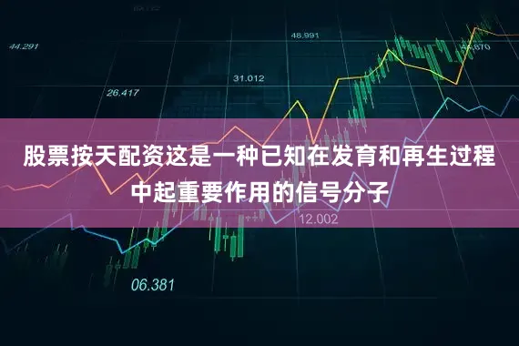 股票按天配资这是一种已知在发育和再生过程中起重要作用的信号分子