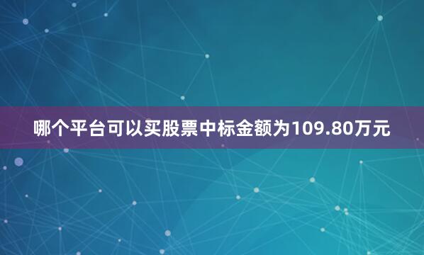 哪个平台可以买股票中标金额为109.80万元